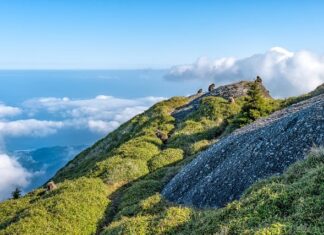 Jaka jest różnica między AirPods 1 a 2?