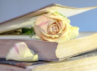 Gdzie kupić używaną kartę graficzną?