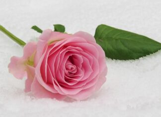 Jaka konsola na komunię?