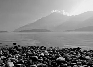 Ile kosztuje sprawdzenie komputera w serwisie?