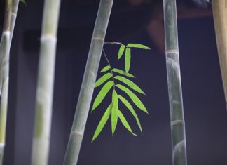 Ile jest generacji Xbox? Ile jest generacji Xbox?