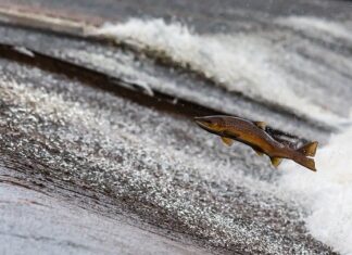 Czy podłączona pralka pobiera prąd?