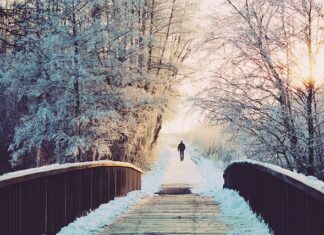 Czy warto przejść na abonament?