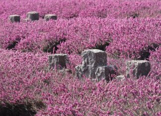 Ile pamięci w komputerze? Ile pamięci w komputerze?