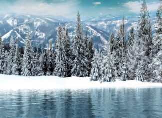 Jakie są pierwsze objawy glejaka? Jakie są pierwsze objawy glejaka?